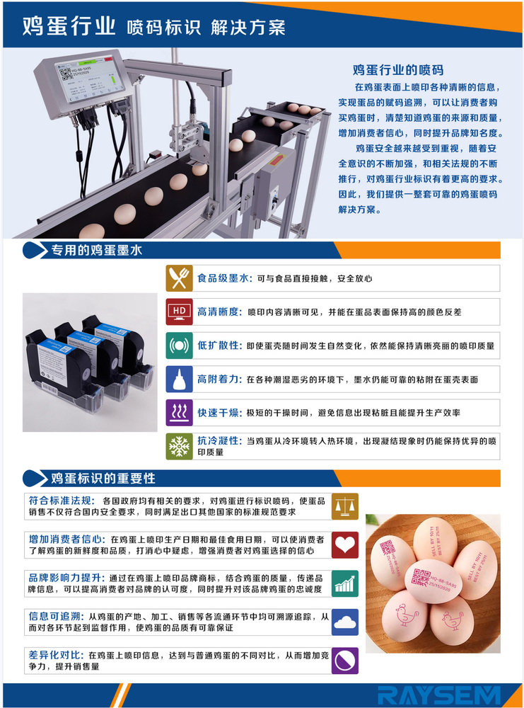 鸡蛋1中文-RM.jpg